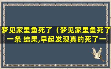 梦见家里鱼死了（梦见家里鱼死了一条 结果,早起发现真的死了一条小鱼）